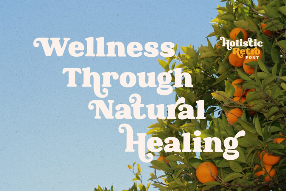 Holistic Retro Font