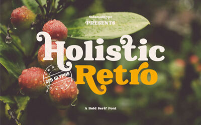 Holistic Retro Font
