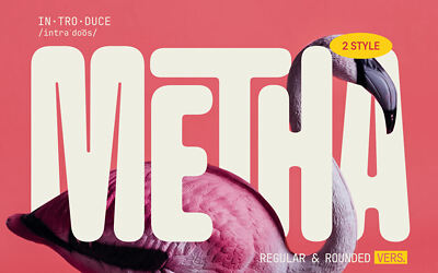 Metha Font