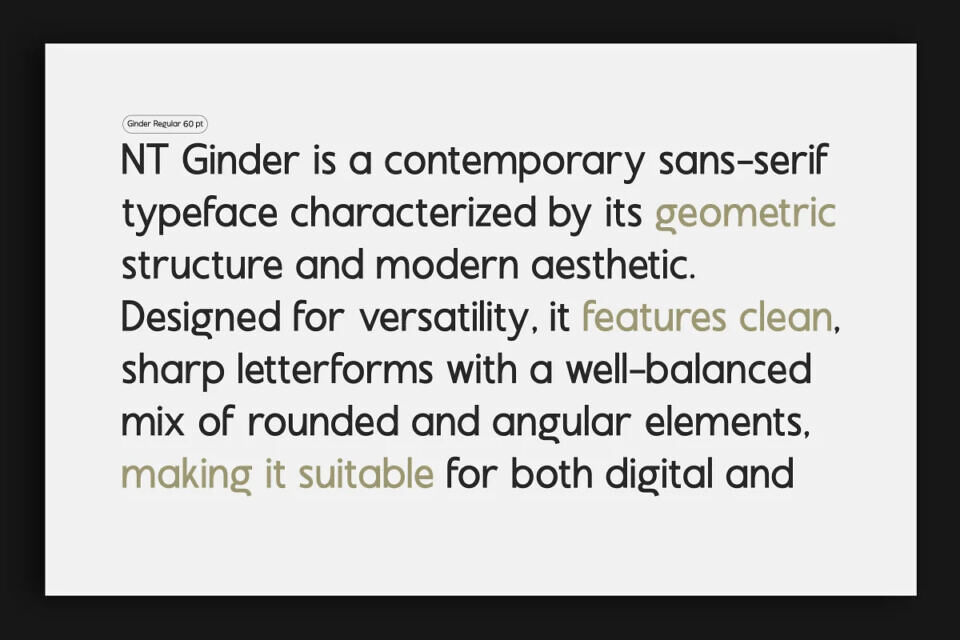 NT Ginder Sans Font