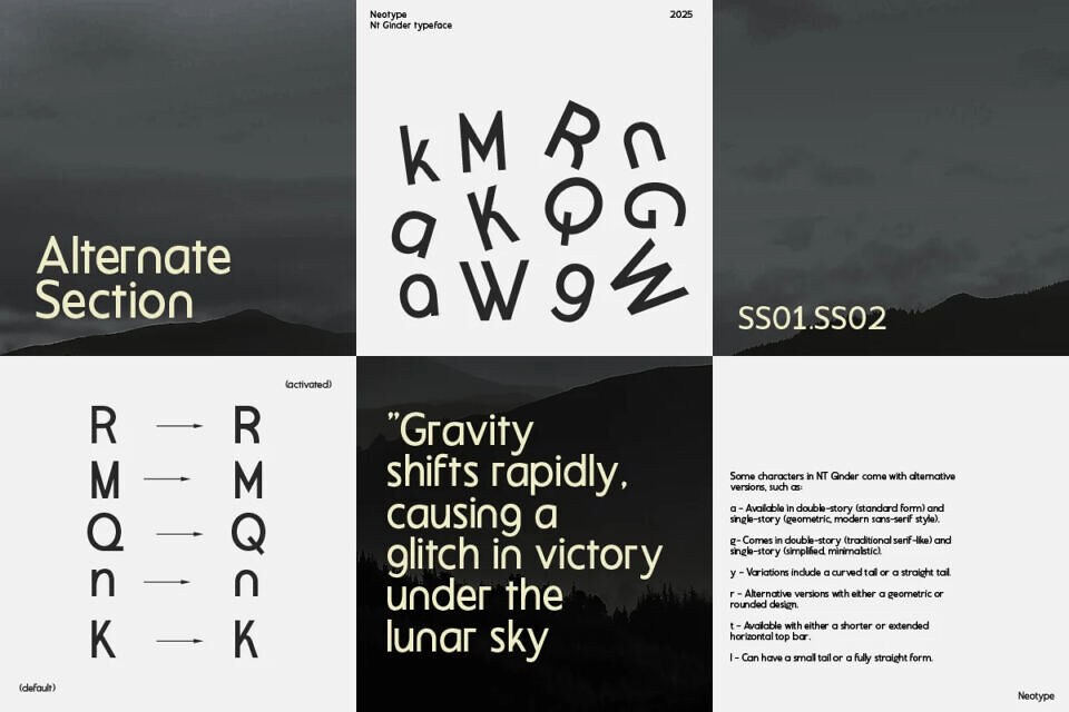 NT Ginder Sans Font