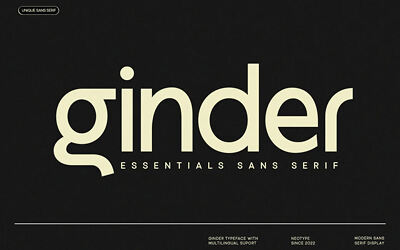 NT Ginder Sans Font