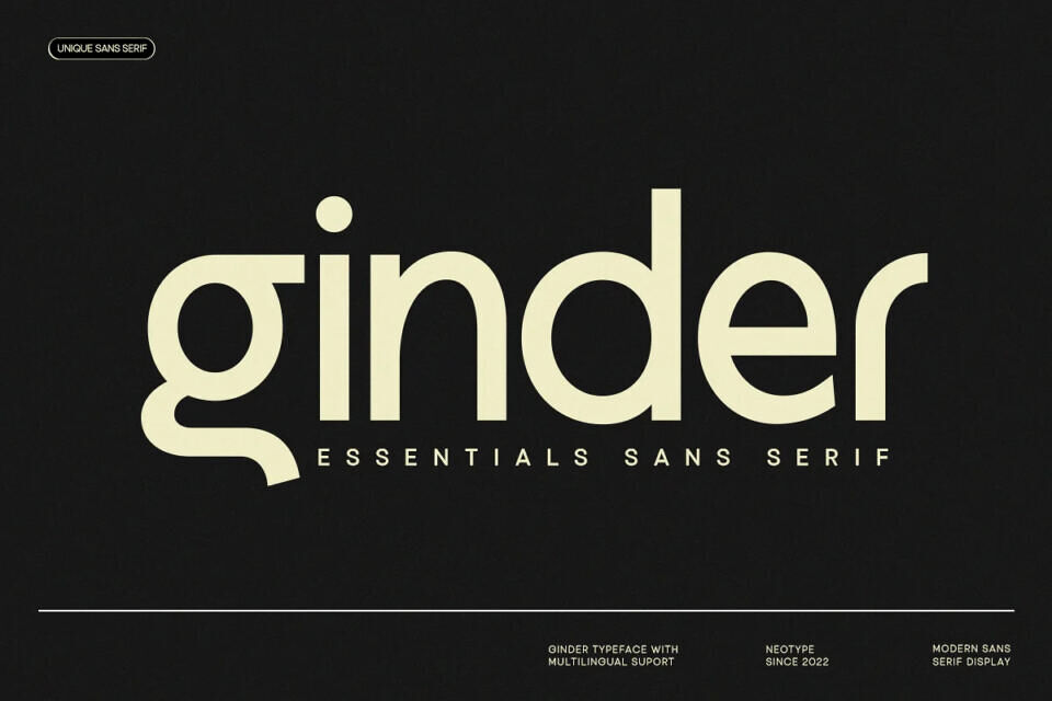 NT Ginder Sans Font