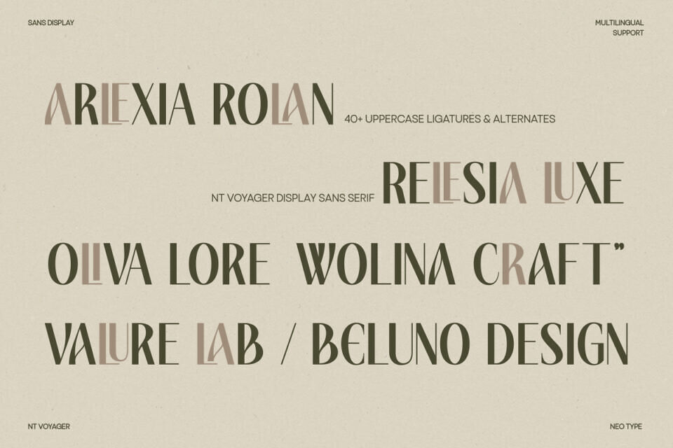 NT Voyager Font