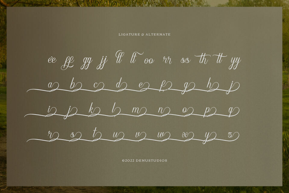 Narottewla Font