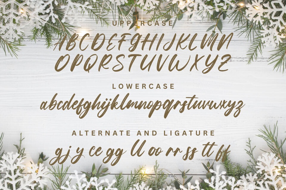 Snowberry Brush Font