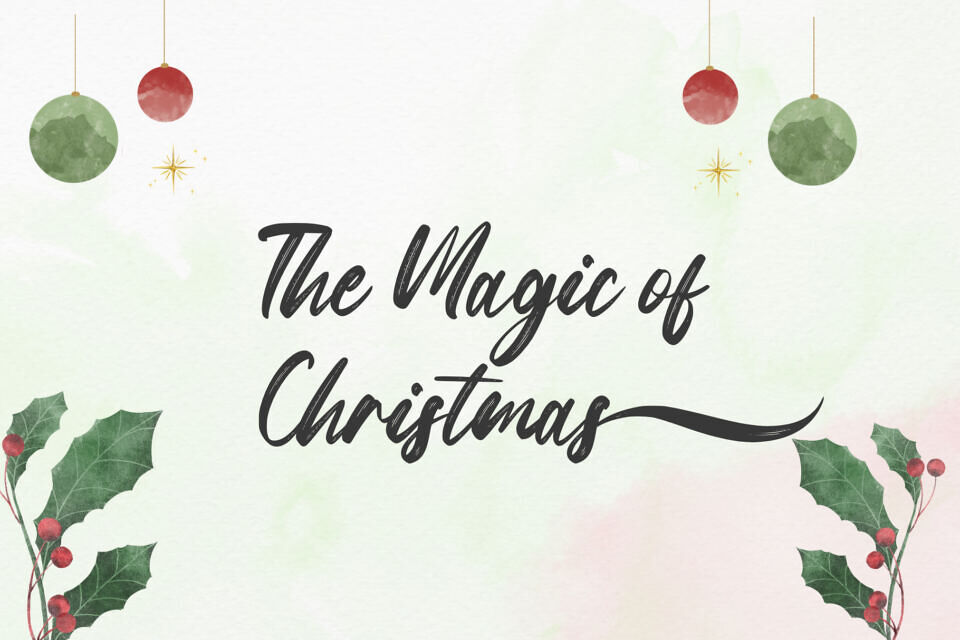 Snowberry Brush Font