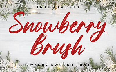 Snowberry Brush Font