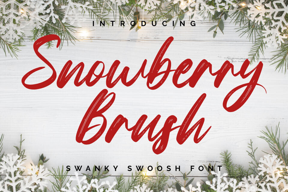 Snowberry Brush Font