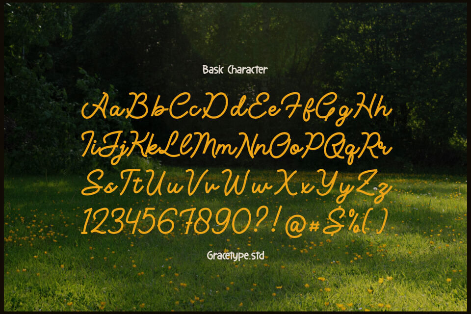 Averty Meadow Font