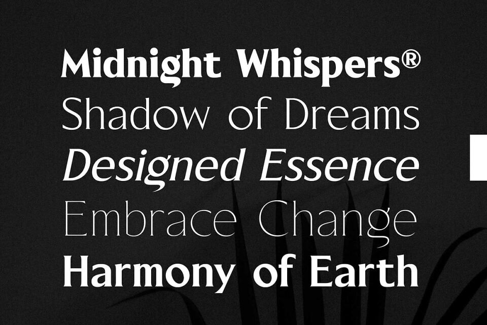 Blackney Font