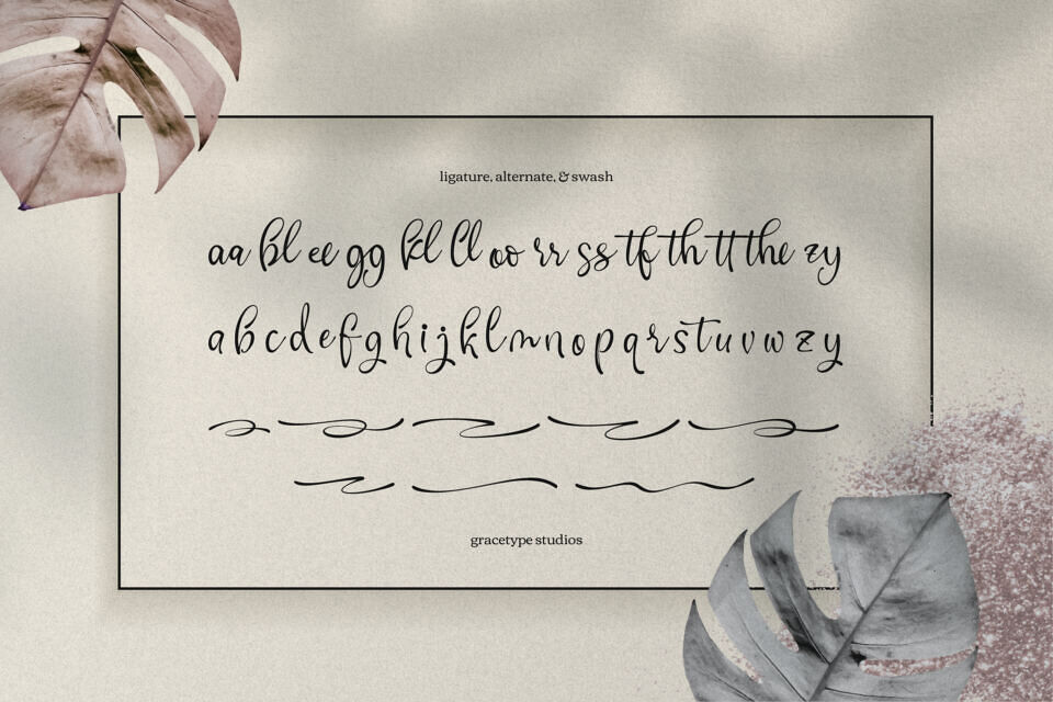 Cafricot Lissendra Font