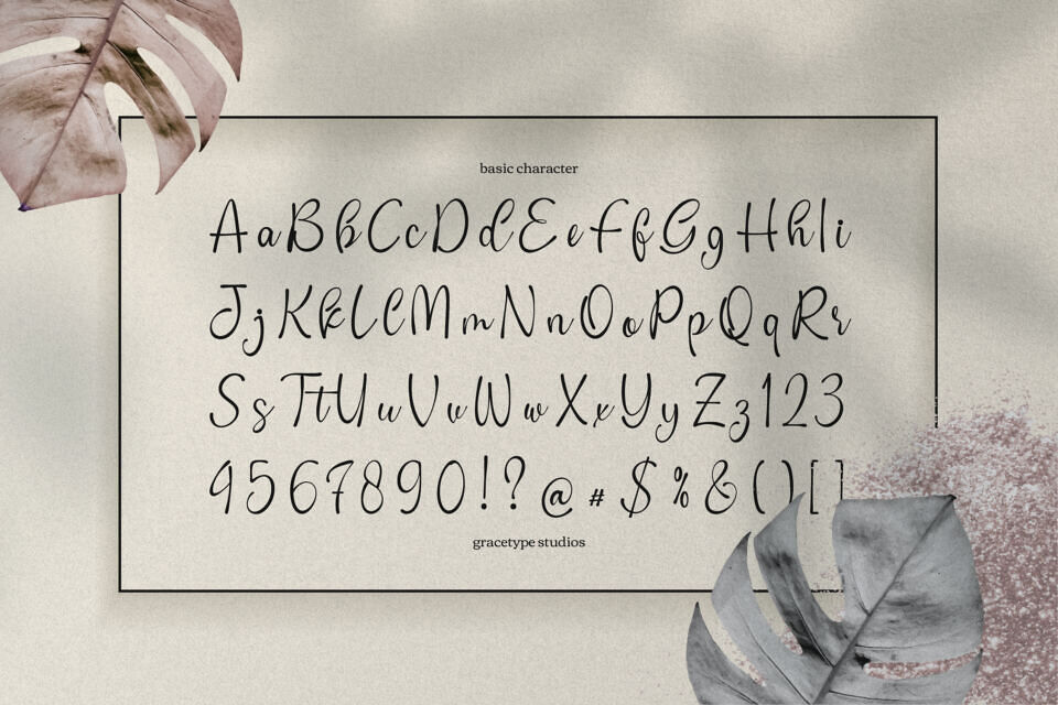Cafricot Lissendra Font