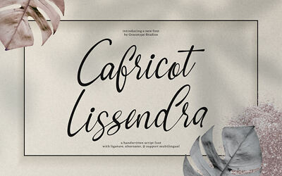 Cafricot Lissendra Font