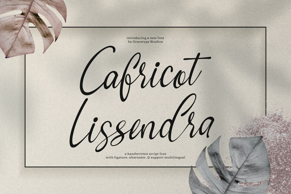 Cafricot Lissendra Font