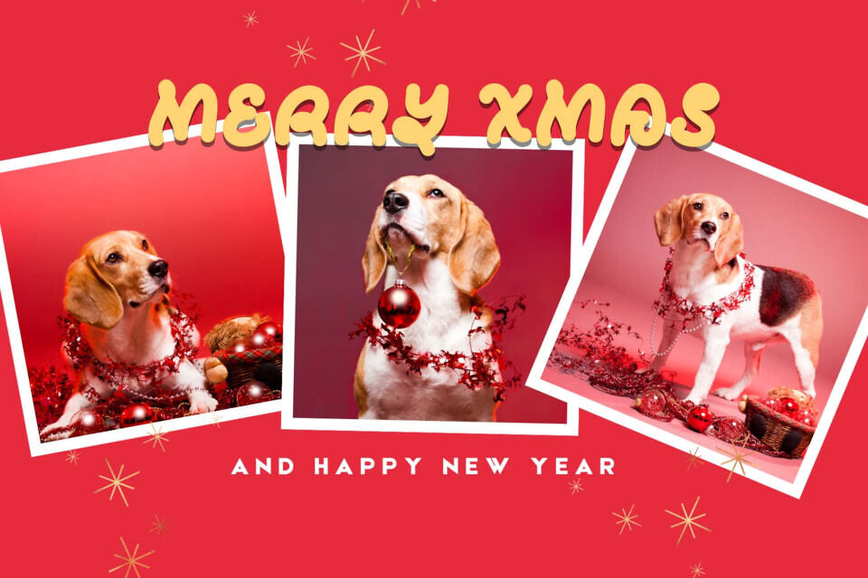 Christmas Pipow Font
