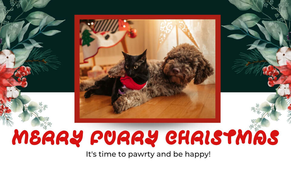 Christmas Pipow Font