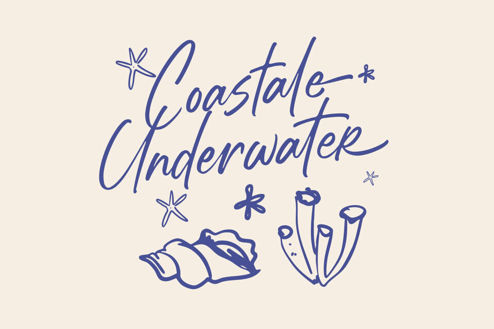 Estone Dreamwell Font