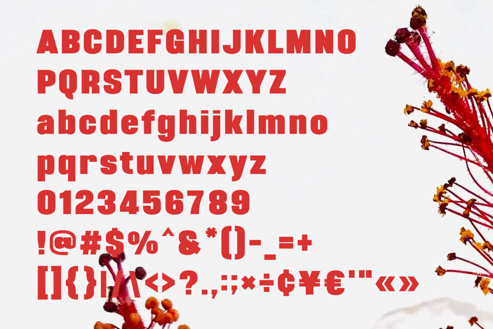 Miland Font