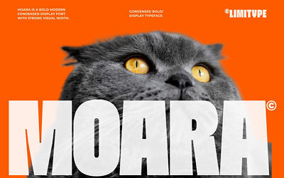 Moara Font