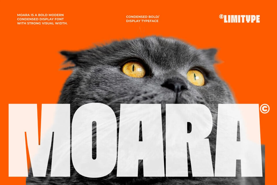Moara Font