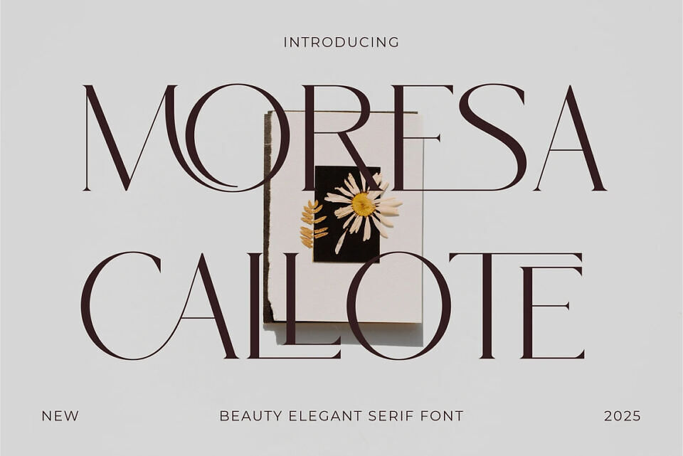 Moresa Callote Font