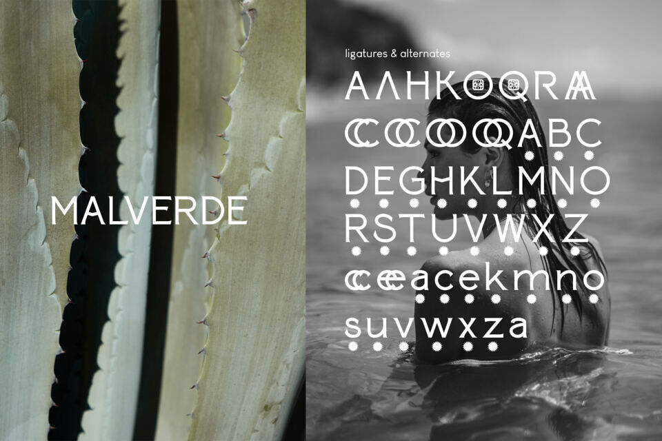 Paterna Font