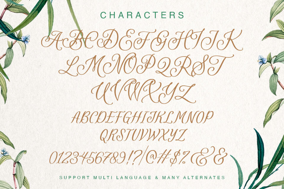 Revisella Font