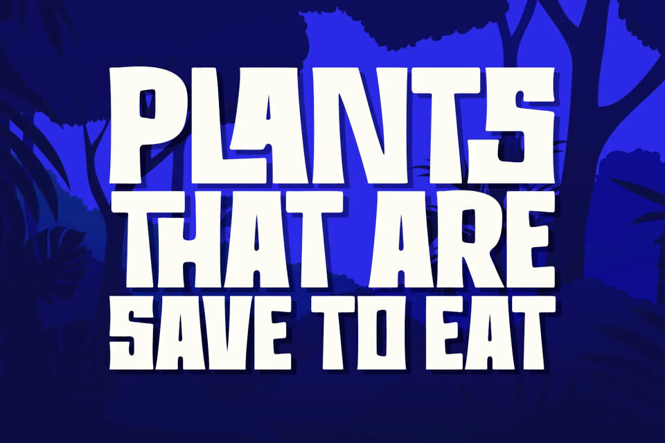 The Last Trunks Font