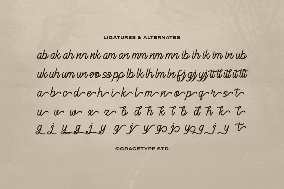 Alontima Font