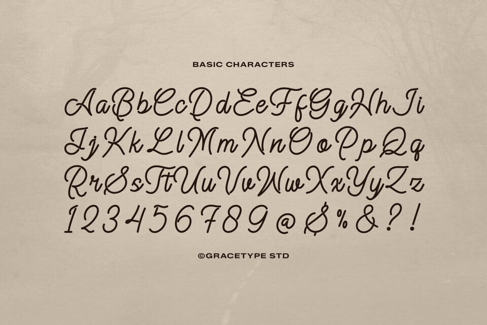 Alontima Font