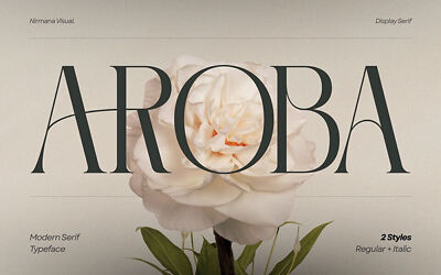 Aroba Modern Font