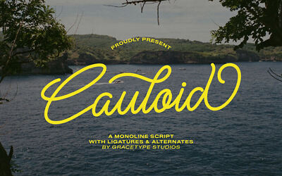 Cauloid Font