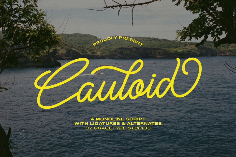 Cauloid Font