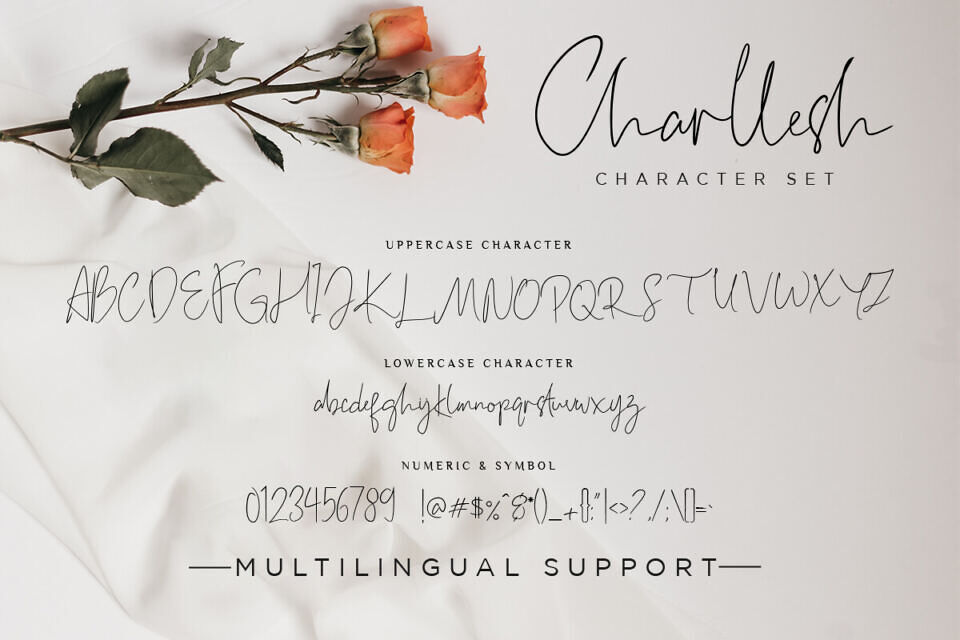 Charllesh Font