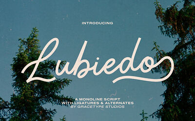 Lubiedo Font
