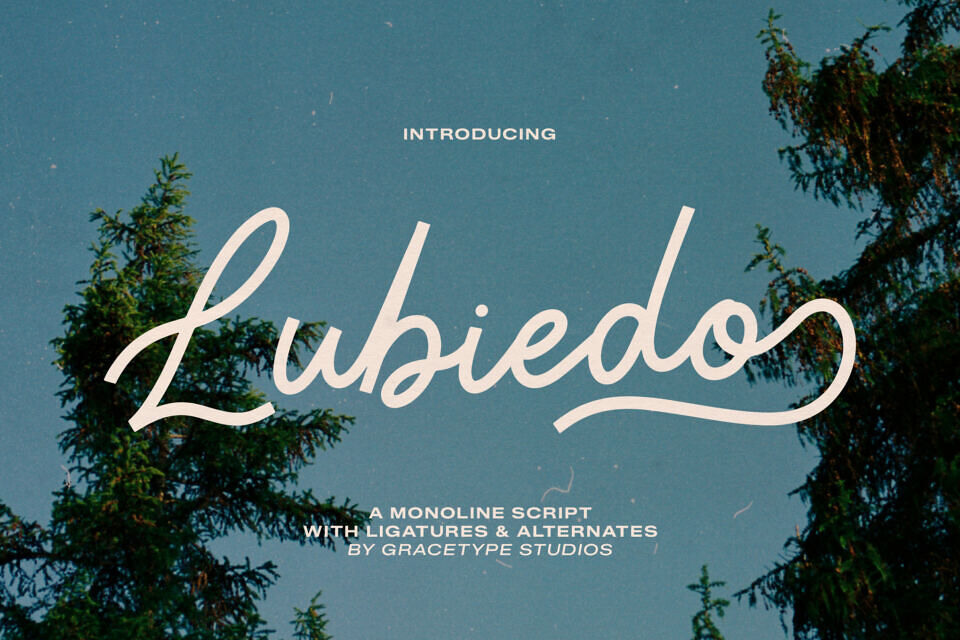 Lubiedo Font