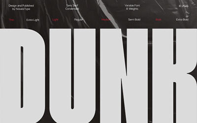 NV Dunk Font