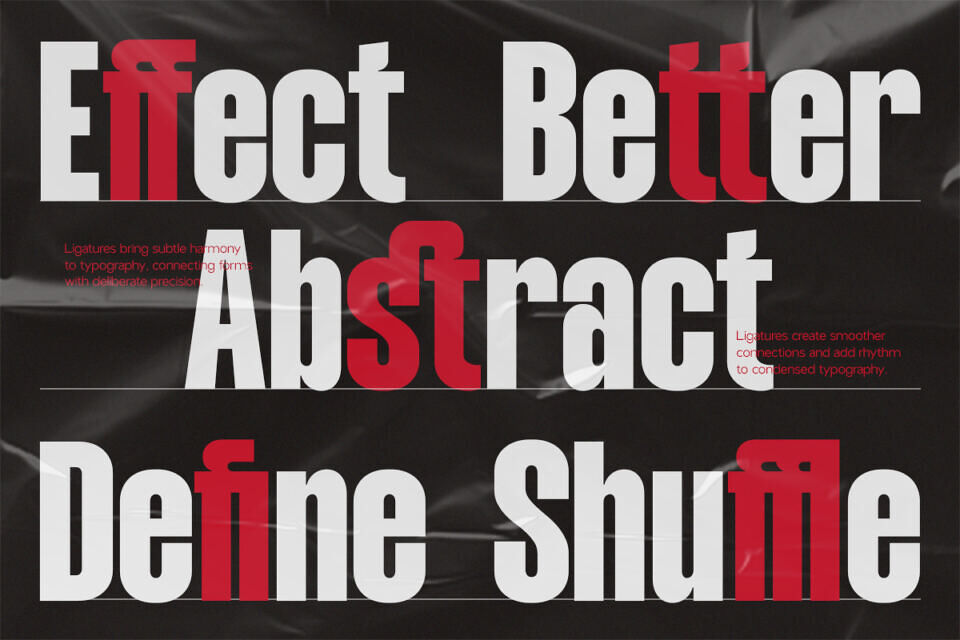 NV Dunk Font