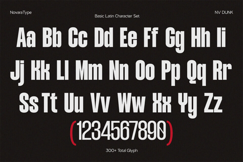 NV Dunk Font