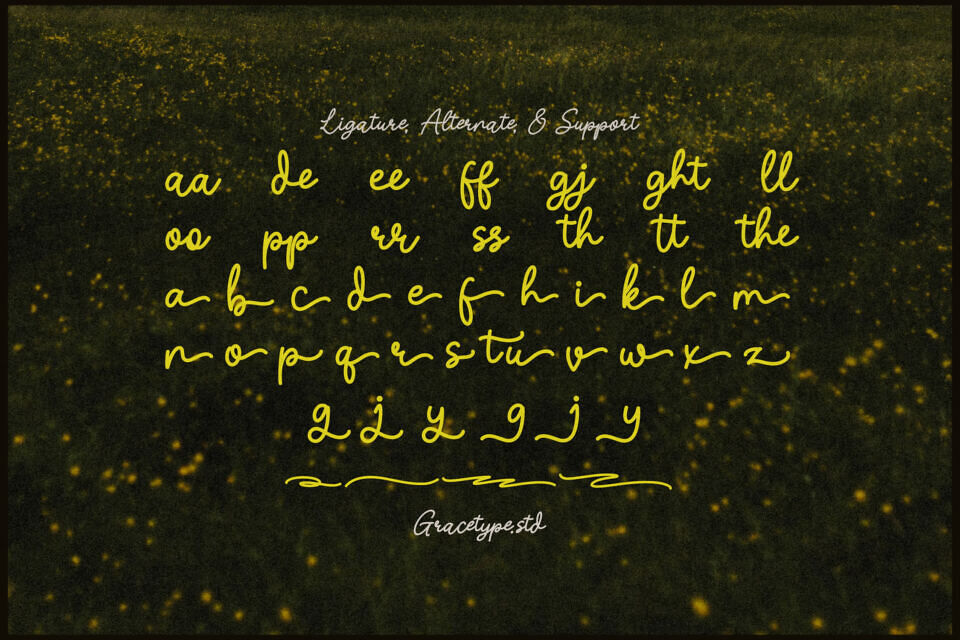 Nicolla Sunfield Font