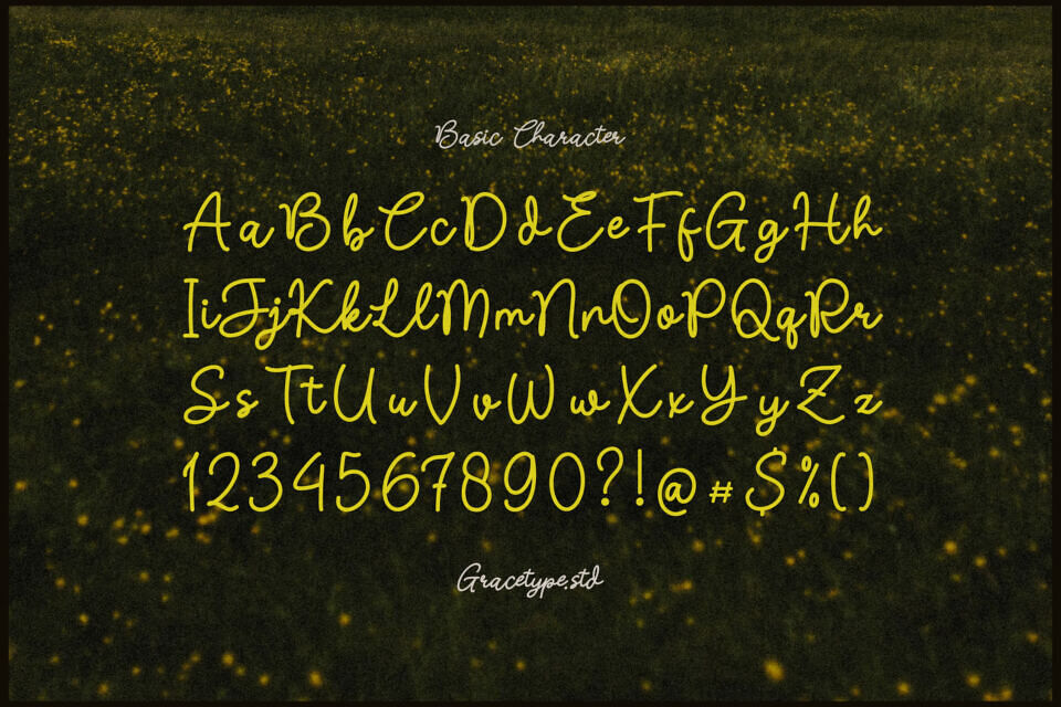 Nicolla Sunfield Font