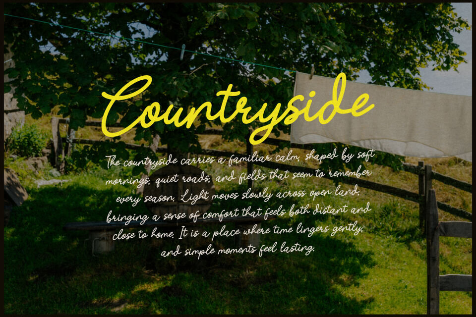 Nicolla Sunfield Font