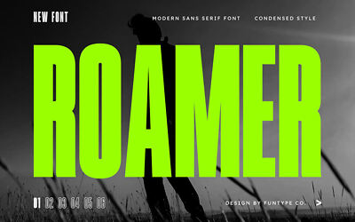 Roamer Font