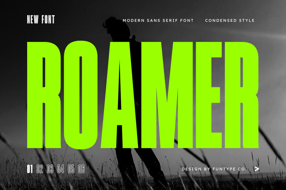 Roamer Font