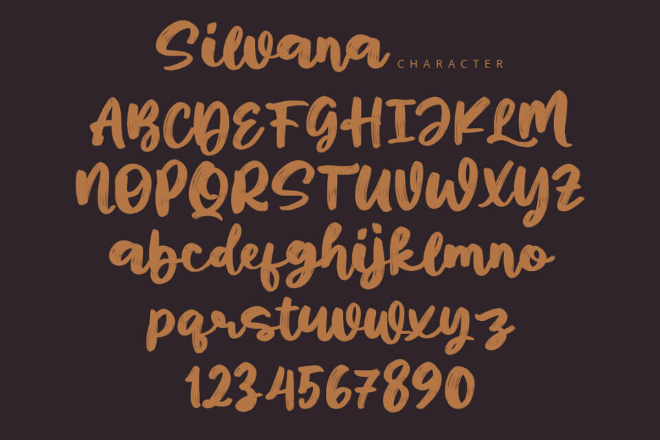 Silvana Font