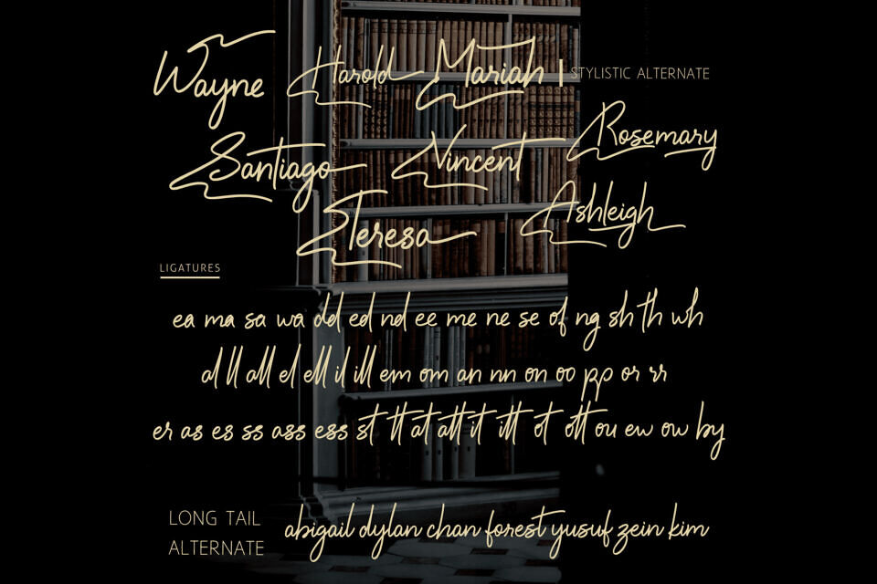 Boundless Wing Font