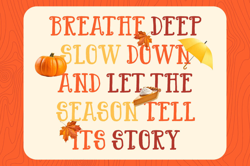 Maple Wind Font