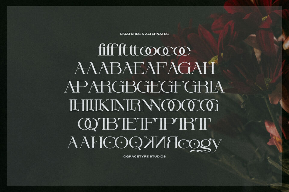 Orcars Font