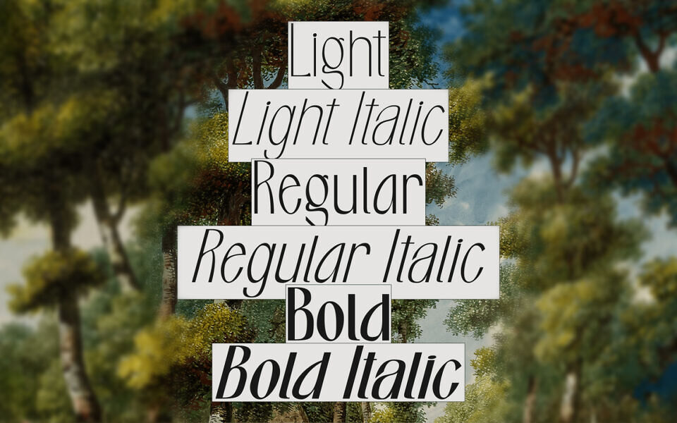 Pavot Font